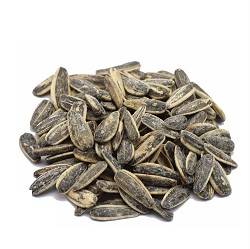 تخمه کانادایی فله